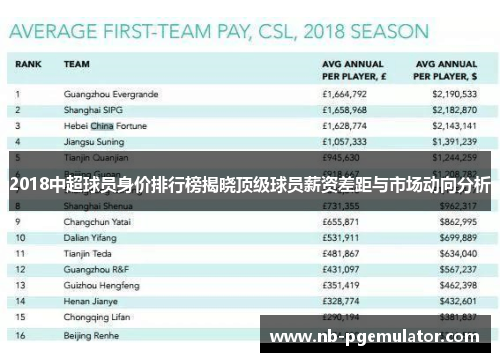 2018中超球员身价排行榜揭晓顶级球员薪资差距与市场动向分析