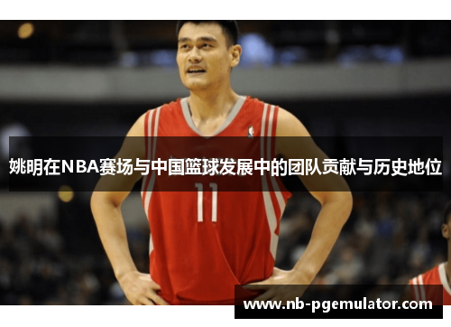 姚明在NBA赛场与中国篮球发展中的团队贡献与历史地位