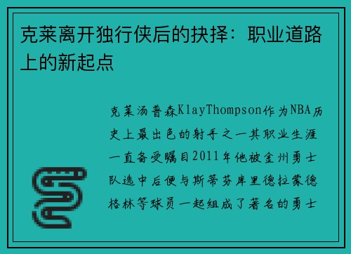 克莱离开独行侠后的抉择：职业道路上的新起点