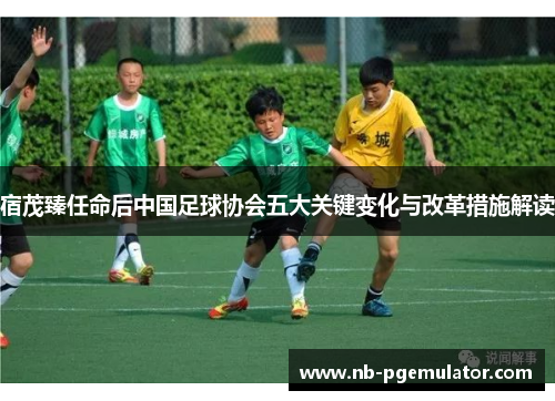 宿茂臻任命后中国足球协会五大关键变化与改革措施解读