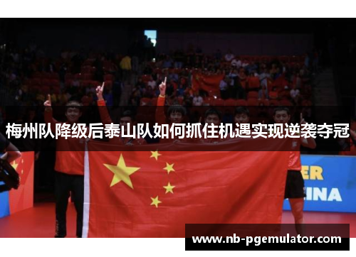 梅州队降级后泰山队如何抓住机遇实现逆袭夺冠