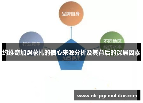 约维奇加盟蒙扎的信心来源分析及其背后的深层因素