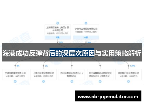 海港成功反弹背后的深层次原因与实用策略解析