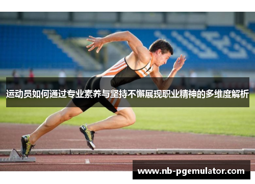 运动员如何通过专业素养与坚持不懈展现职业精神的多维度解析
