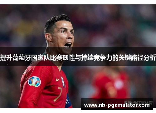 提升葡萄牙国家队比赛韧性与持续竞争力的关键路径分析