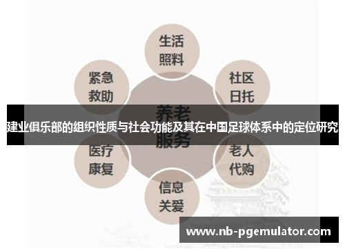 建业俱乐部的组织性质与社会功能及其在中国足球体系中的定位研究 建业俱乐部的组织性质与社会功能及其在中国足球体系中的定位研究
